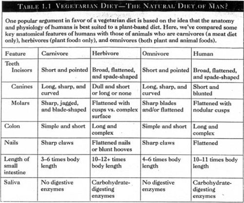 Virginia and Mark Messina's chart comparing natural herbivores, carnivores, omnivores, and humans